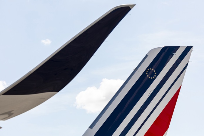 En raison des confinements et des restrictions de voyage toujours en vigueur, le groupe prévoit un premier trimestre 2021 difficile - DR : Air France