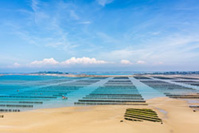 Parcs à Huitres-St cast © l’œil de Paco Parcs à Huitres-St cast © l’œil de Paco