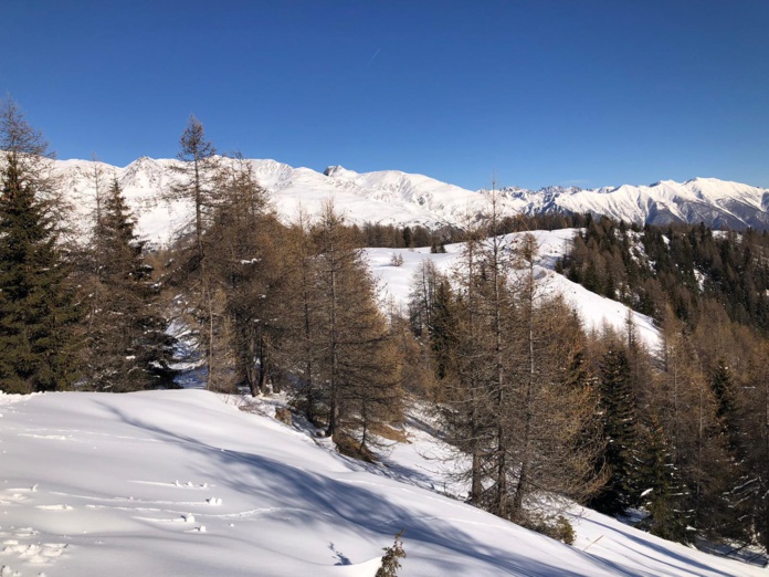 Le mont Ténibre culmine à 3031 mètres, c'est le plus haut sommet de la Vallée de la Tinée, ultime rempart avec la frontière italienne /crédit JDL