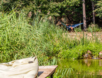 © Olivier Gomez © Olivier Gomez