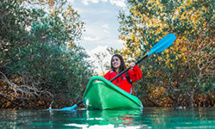 Parc National des Mangroves © Abu Dhabi Department of Culture and Tourism