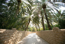 Oasis d’Al Ain ©Abu Dhabi Department of Culture and Tourism
