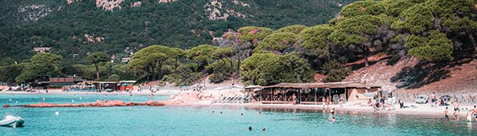 © Lezbroz / Palombaggia © Lezbroz / Palombaggia