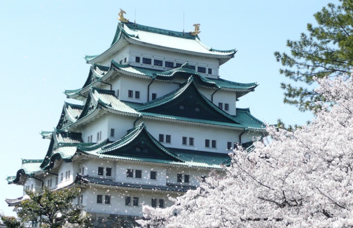 Les cerisiers fleurissent deux fois par an - DR Les cerisiers fleurissent deux fois par an - DR