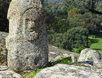 © La Corse des origines / Menhir au milieu des oliviers centenaires de Filitosa