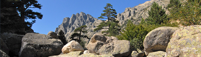 © Office de Tourisme Centru de Corsica © Office de Tourisme Centru de Corsica