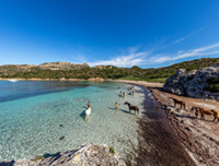 Bonifacio - Chevaux à Paragan - © Robert Palomba