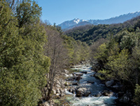 © OTI PIEVE ORNANO TARAVO © OTI PIEVE ORNANO TARAVO