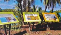 Découvrir la Guyane baskets aux pieds !