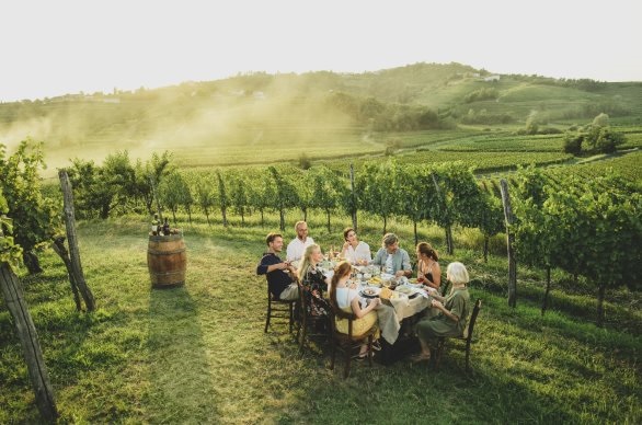 Le webinaire proposera de s'immerger dans le pays - DR : OT Slovénie Le webinaire proposera de s'immerger dans le pays - DR : OT Slovénie
