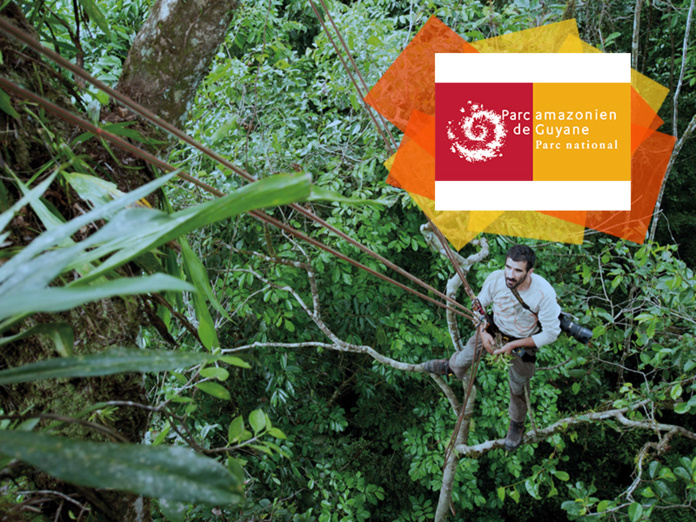 © Guillaume Longin / Ecologue travaillant en canopée © Guillaume Longin / Ecologue travaillant en canopée