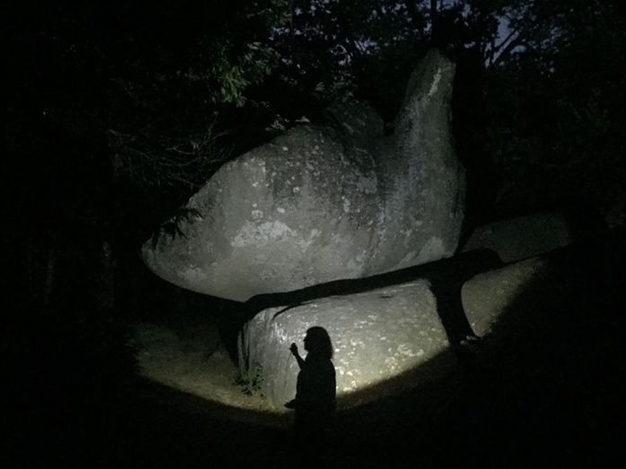 Vers 21h, à la lumière d'une lampe torche et le temps d’une balade nocturne, replongez dans le monde de votre enfance - Photo AGIT