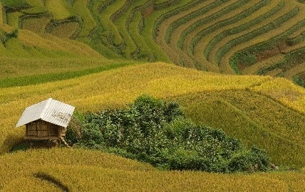 Réceptif : Nature Vietnam lance un nouveau trek exclusif dans le nord ouest Réceptif : Nature Vietnam lance un nouveau trek exclusif dans le nord ouest