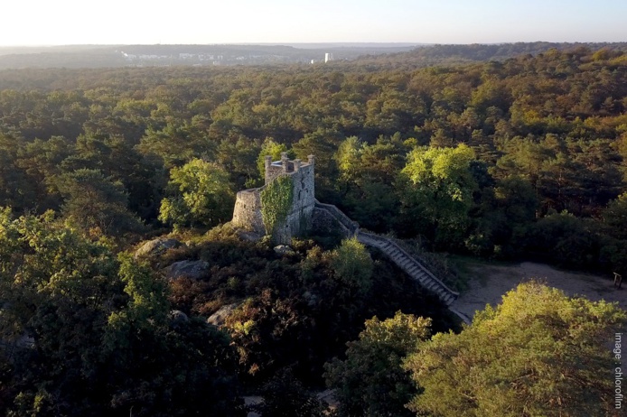 Une visite guidée spéciale biodiversité permettra de découvrir les curiosités de la forêt, avec, en prime, un passage par la Tour Denecourt, point d'observation offrant une vue unique à 360° sur le massif de la forêt de Fontainebleau - DR : Fontainebleau Tourisme / Chlorofilm