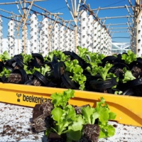 Nature urbaine à Paris - DR Nature urbaine à Paris - DR