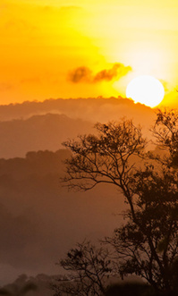 © NQuendez © NQuendez