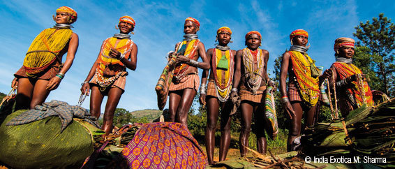 India Exotica : nouveau réceptif sur DMCMag.com