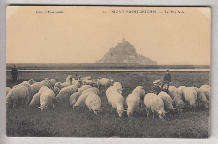 L'agneau de pré salé, un "must" qui a désormais son AOP. Ici sur une ancienne carte postale - DR