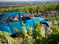 Balade dans les vignes en 2CV © 2CV Bourgogne Tours / Exclusive France Tours