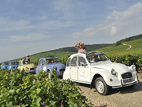 Balade à la queue leu leu dans les vignes en 2CV © Alain Doire / Bourgogne Tourisme Franche Comté