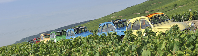 Farandole de 2CVs dans les vignobles de Bourgogne © Alain Doire / Bourgogne Tourisme Franche Comté Farandole de 2CVs dans les vignobles de Bourgogne © Alain Doire / Bourgogne Tourisme Franche Comté