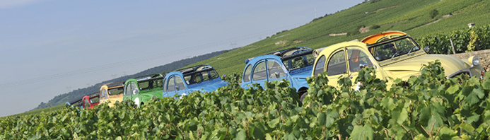 Farandole de 2CVs dans les vignobles de Bourgogne © Alain Doire / Bourgogne Tourisme Franche Comté