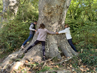 ©Bernadette Shinrin Yoku Quebec ©Bernadette Shinrin Yoku Quebec