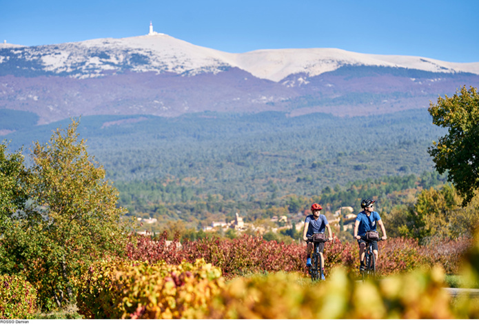 © Damien Rosso - Tour à vélo au pied du mont Ventoux - Vaucluse © Damien Rosso - Tour à vélo au pied du mont Ventoux - Vaucluse