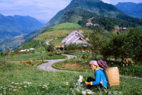 Les charmes du Vietnam