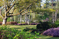 © Jean-François Grossin - Arboretum des Grandes Bruyères