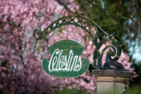 La source Célestins © E. Lattes / Auvergne-Rhône-Alpes Tourisme