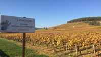 © A chacun son Escapade - Sur la Route des Grands Crus