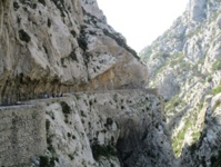 Carcassonne, Mirepoix, Narbonne et bien d'autres surprises : le cocktail détonnant des guides du Pays Cathare Carcassonne, Mirepoix, Narbonne et bien d'autres surprises : le cocktail détonnant des guides du Pays Cathare