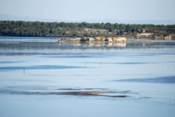 Crédit photo : Daniel Depoix Crédit photo : Daniel Depoix