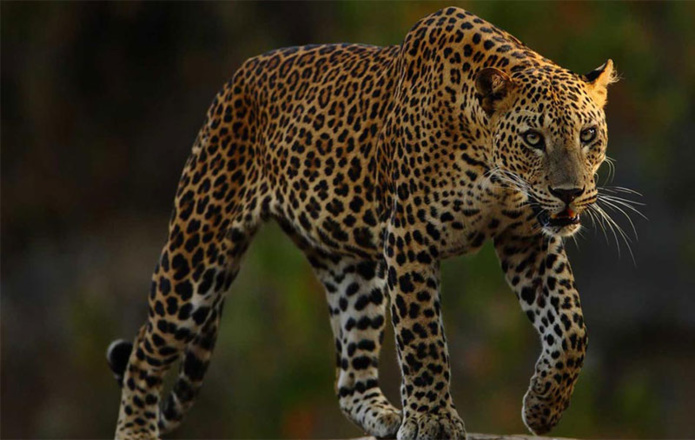 L’Asie est une promesse, l’émotion notre signature… © Secret retreats L’Asie est une promesse, l’émotion notre signature… © Secret retreats