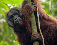 © Secret retreats © Secret retreats