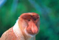 © Secret retreats © Secret retreats