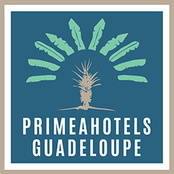 La Guadeloupe en liberté : comment vous aider à réserver sans aucun souci ni formalisme ! La Guadeloupe en liberté : comment vous aider à réserver sans aucun souci ni formalisme !