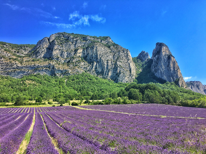 © Vallée de la Drôme - champs de lavande au pied des falaises de Saou © Vallée de la Drôme - champs de lavande au pied des falaises de Saou