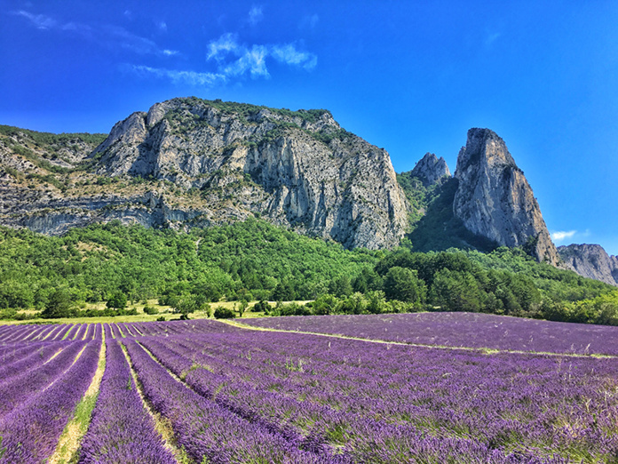 © Vallée de la Drôme - champs de lavande au pied des falaises de Saou