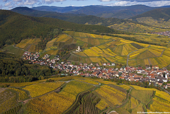 vignoble de Katzenthal - Alsace