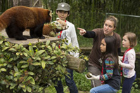 Journée soigneur © Branféré Journée soigneur © Branféré