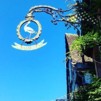 Alsace : Strasbourg, Riquewihr et le Grand Cru Schoenenbourg... au programme des visites des guides conférenciers Alsace : Strasbourg, Riquewihr et le Grand Cru Schoenenbourg... au programme des visites des guides conférenciers