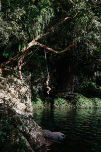 © IRT / Loeildeos - Bassin boeuf