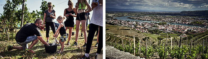 © Cherrystone © Cherrystone