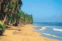 Exclusivité Marsans : l'hôtel Punta Bonita à Las Terrenas Exclusivité Marsans : l'hôtel Punta Bonita à Las Terrenas