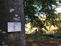 © Office de Tourisme de Luxeuil Vosges du Sud