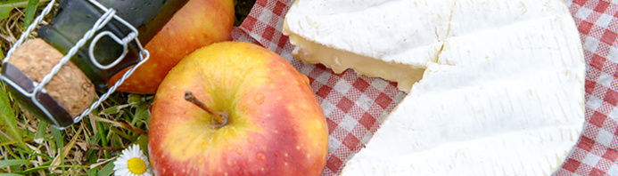 © iStock-532969106 © iStock-532969106