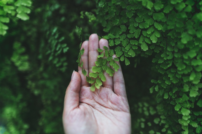 Plusieurs initiatives indiquent montée en puissance des mouvements de défense de la nature et la volonté de conférer à la planète un statut juridique équivalent à celui des humains - Depositphotos.com AlexGukBO