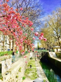 Ile-de-France, Paris : suivez le guide à la découverte du Marais, de Chantilly, de Montmartre et bien d'autres trésors Ile-de-France, Paris : suivez le guide à la découverte du Marais, de Chantilly, de Montmartre et bien d'autres trésors